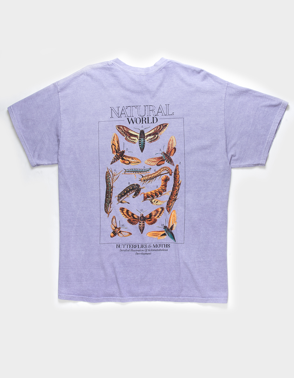 BDG Urban Outfitters T-Shirts and Graphic Tees for Young Adult Men