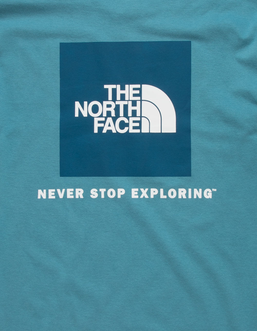 THE NORTH FACE Box NSE Mens T-Shirt - STORM BLUE | Tillys
