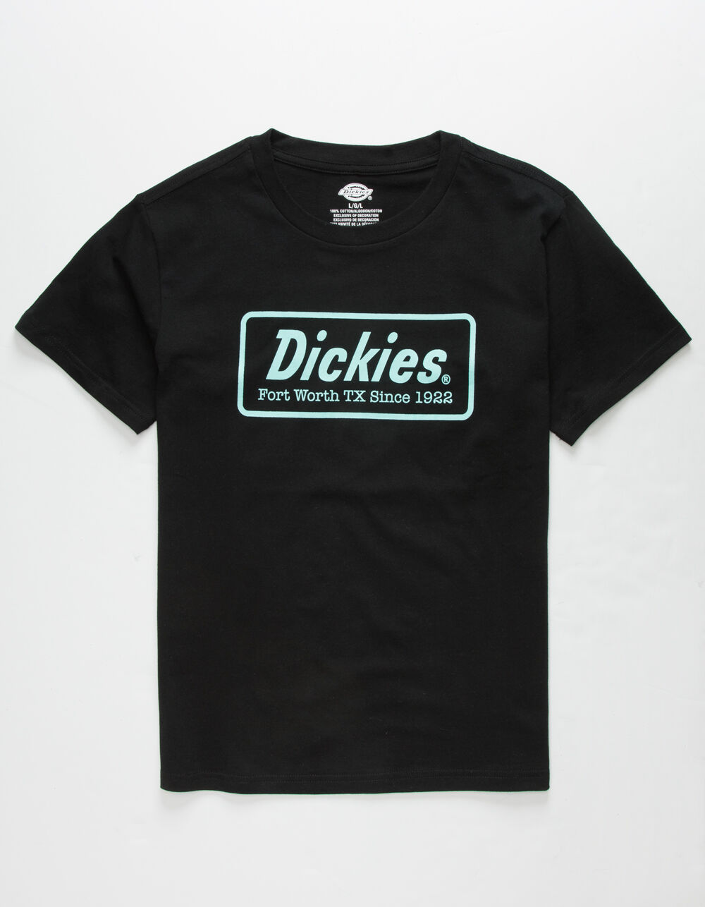 DICKIES Historic Logo Boys T-Shirt - BLACK | Tillys