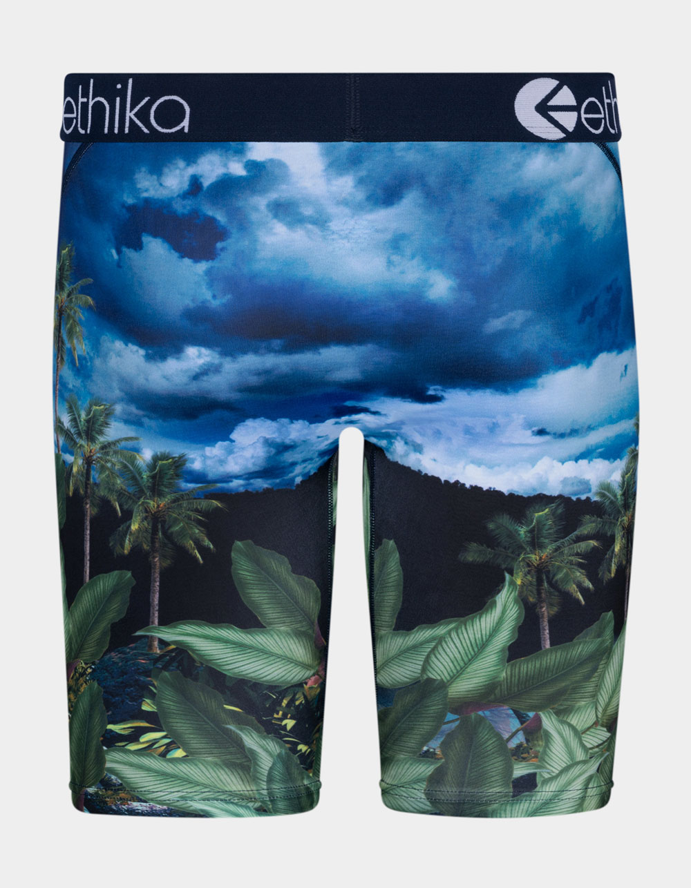 ETHIKA In The Clouds Boys Boxer Briefs - MULTI, Tillys