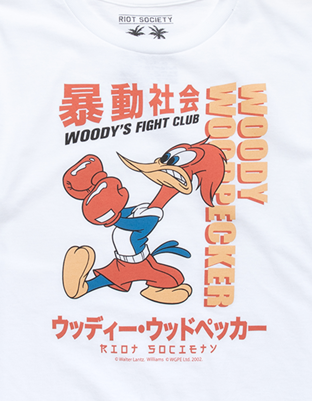 RIOT SOCIETY Woody's Fight Club Boys Tee - WHITE | Tillys