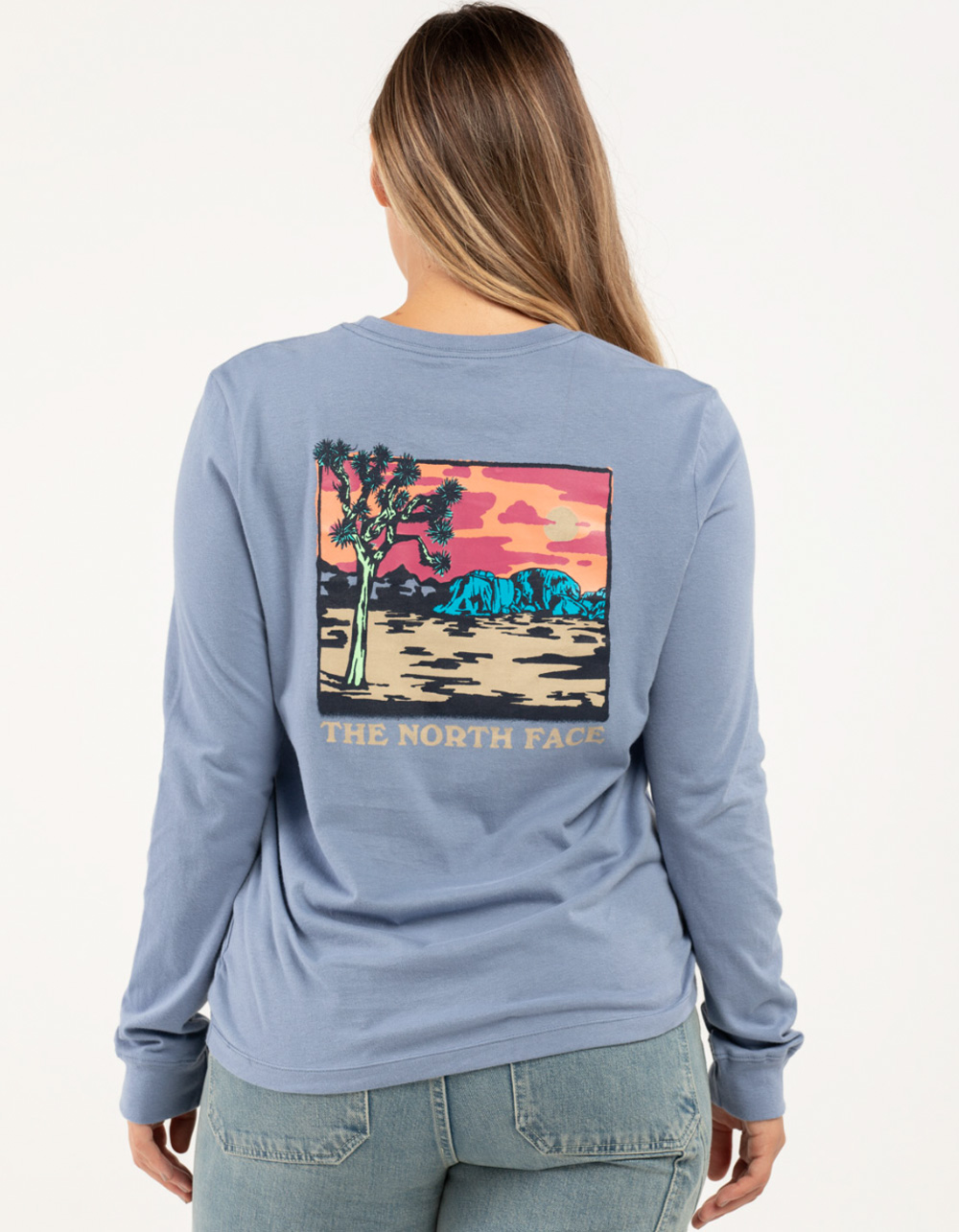 THE NORTH FACE Graphic Injection Box Womens Tee