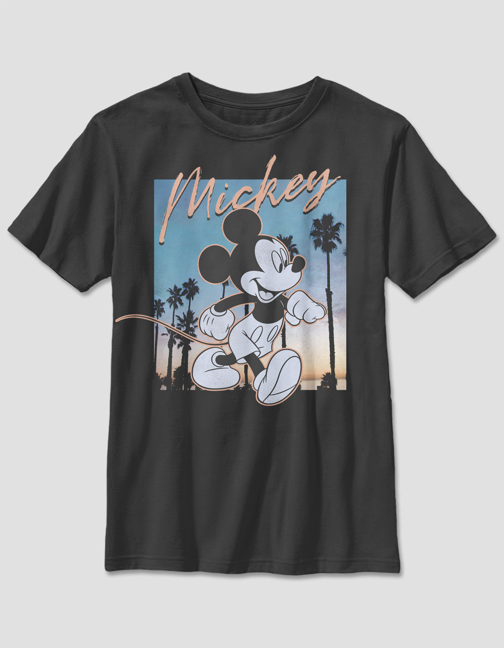 Mickey & Friends Boy's Mickey Mouse Pocket Surfer T-Shirt Black
