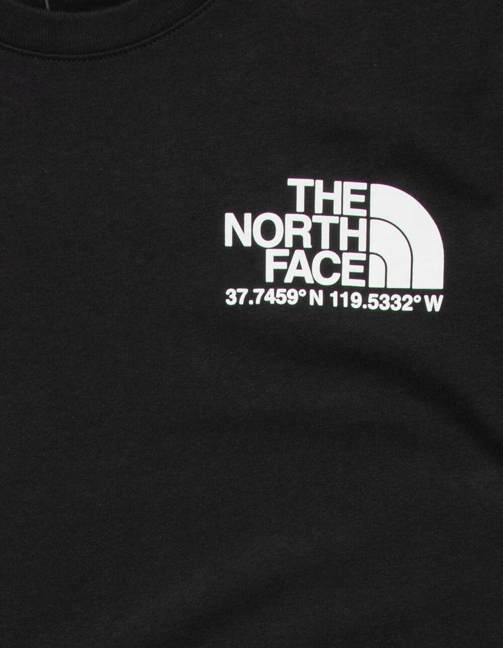 THE NORTH FACE Coordinates Mens T-Shirt - BLACK | Tillys