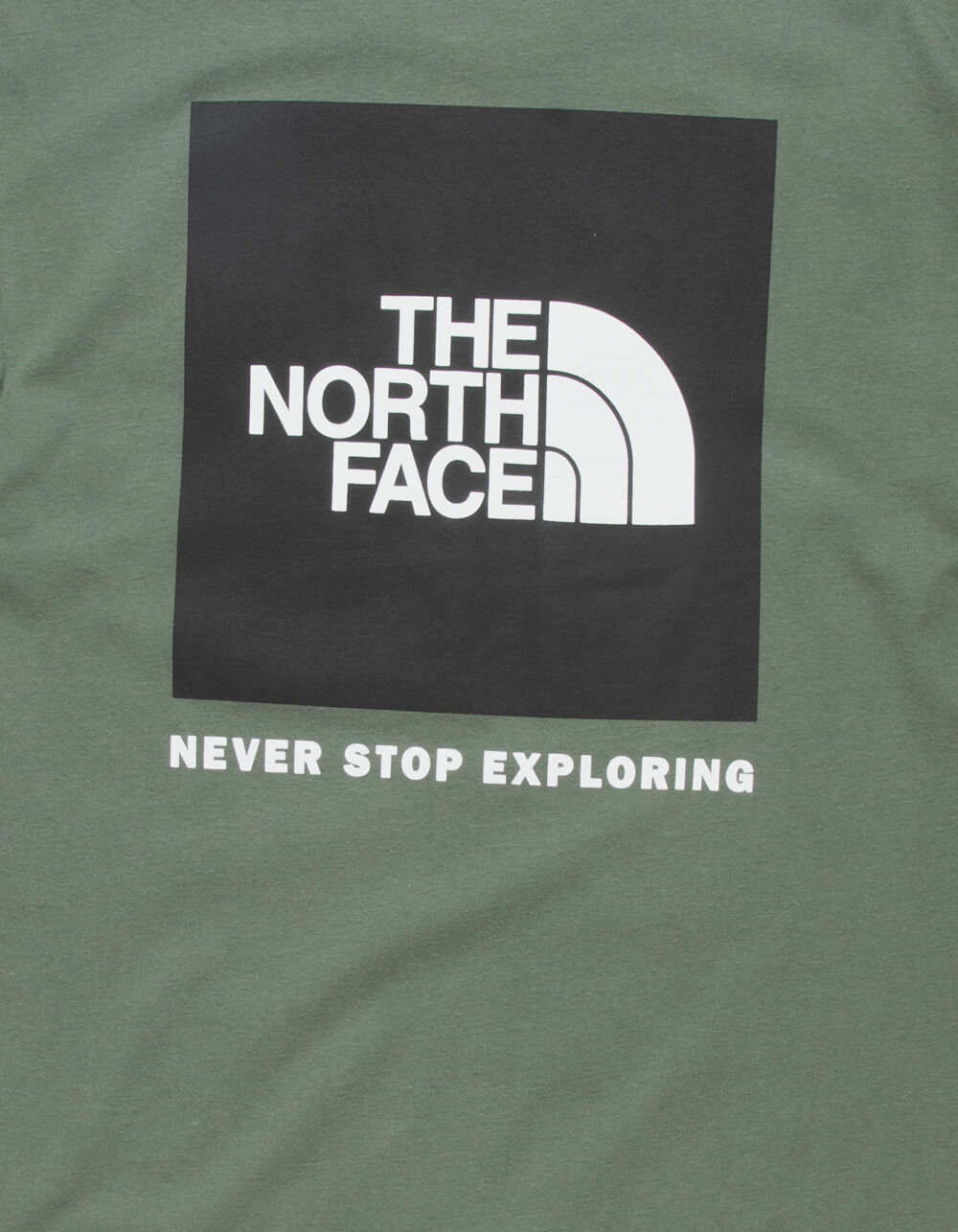 THE NORTH FACE Men's Boxed in Graphic Tee, Sharp Green, Medium : :  Clothing, Shoes & Accessories