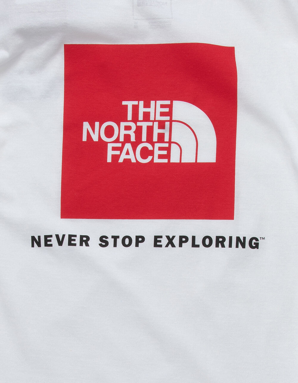 THE NORTH FACE Never Stop Exploring Box Mens T-Shirt - WHITE | Tillys