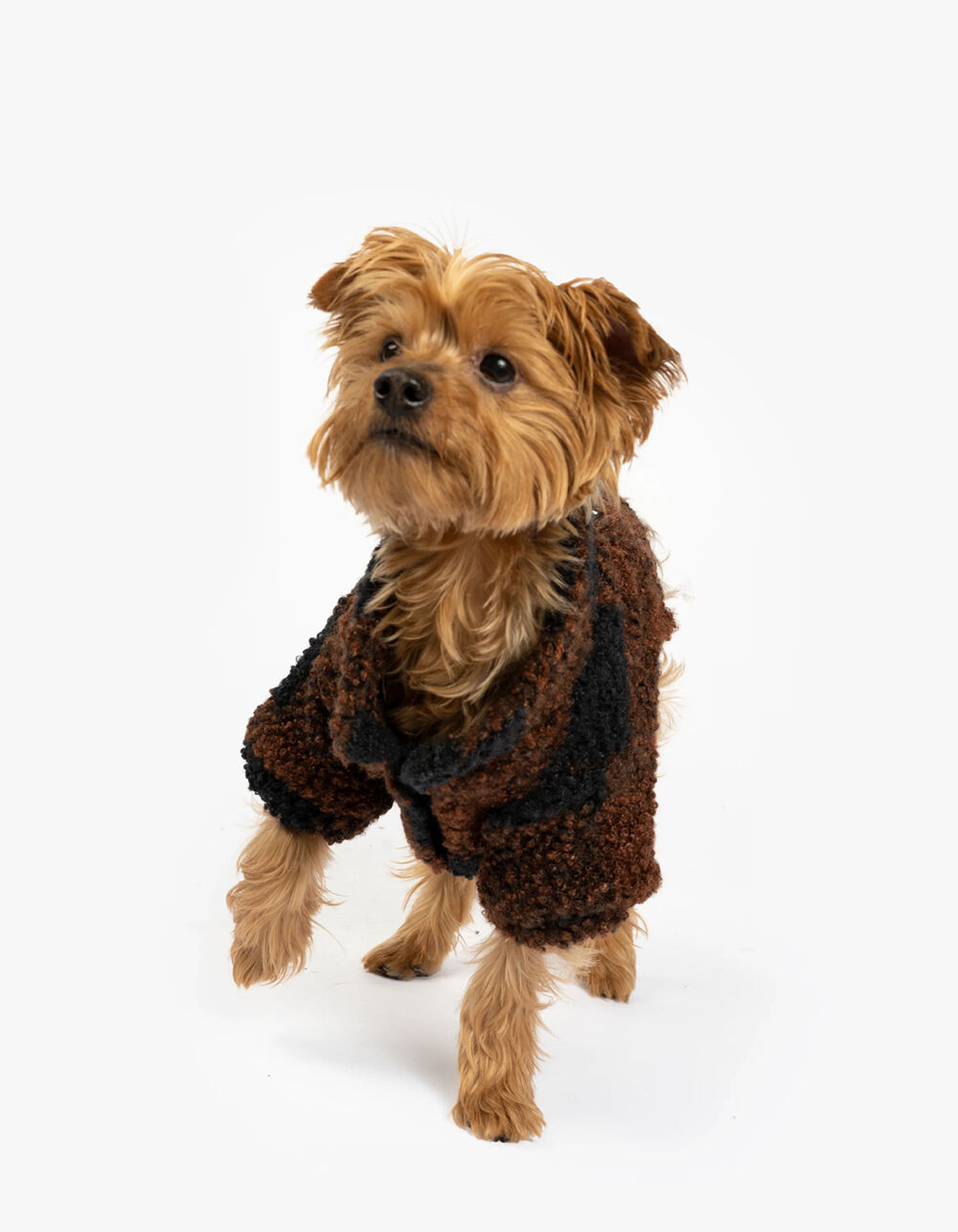 SILVER PAW Humpfrey Dog Jacket - BROWN COMBO | Tillys