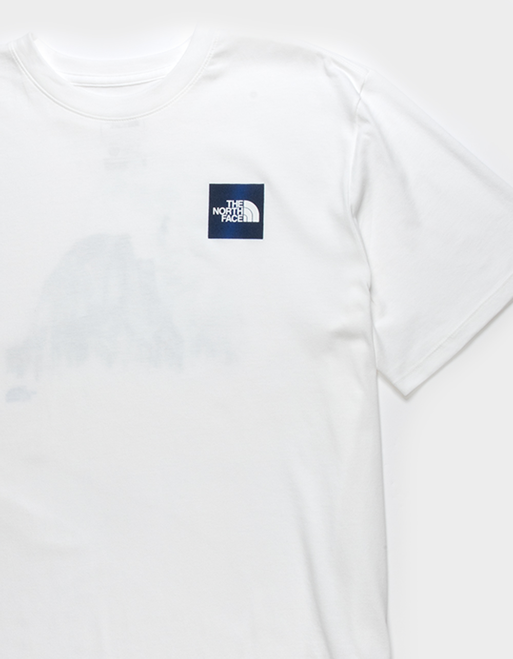 THE NORTH FACE Americana Mens Tee