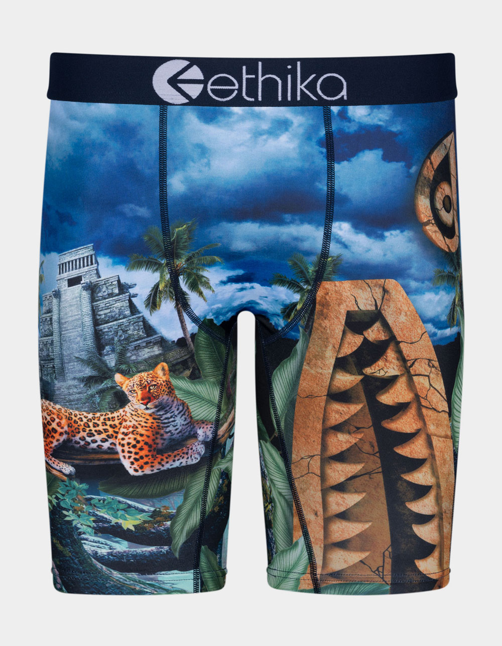  Ethika Boys Staple Boxer Briefs  All Star (Assorted, Small):  Clothing, Shoes & Jewelry