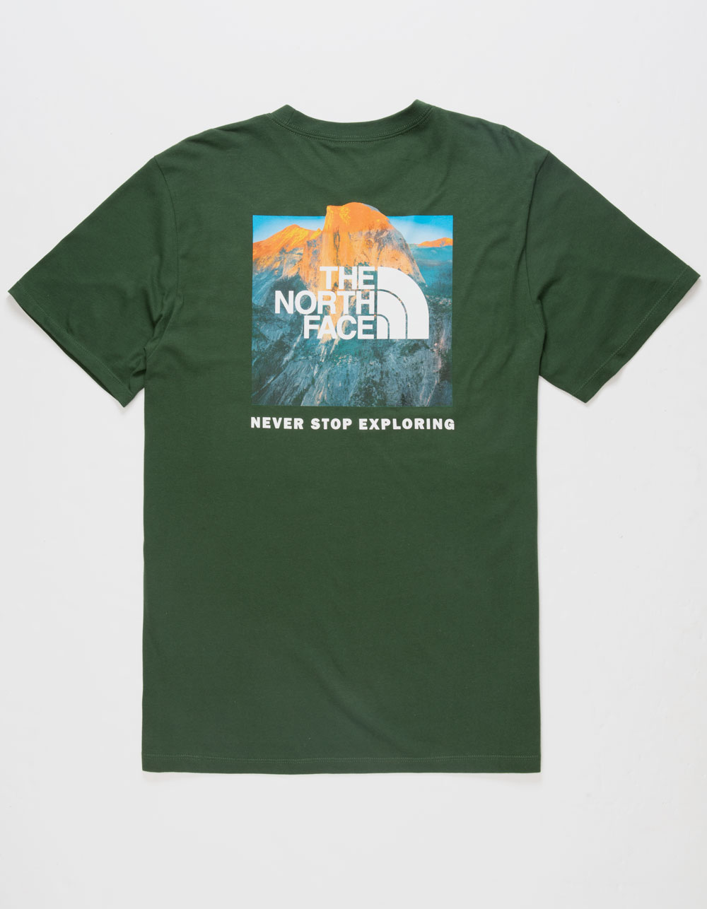 THE NORTH FACE Box NSE Mens Tee - PINE | Tillys