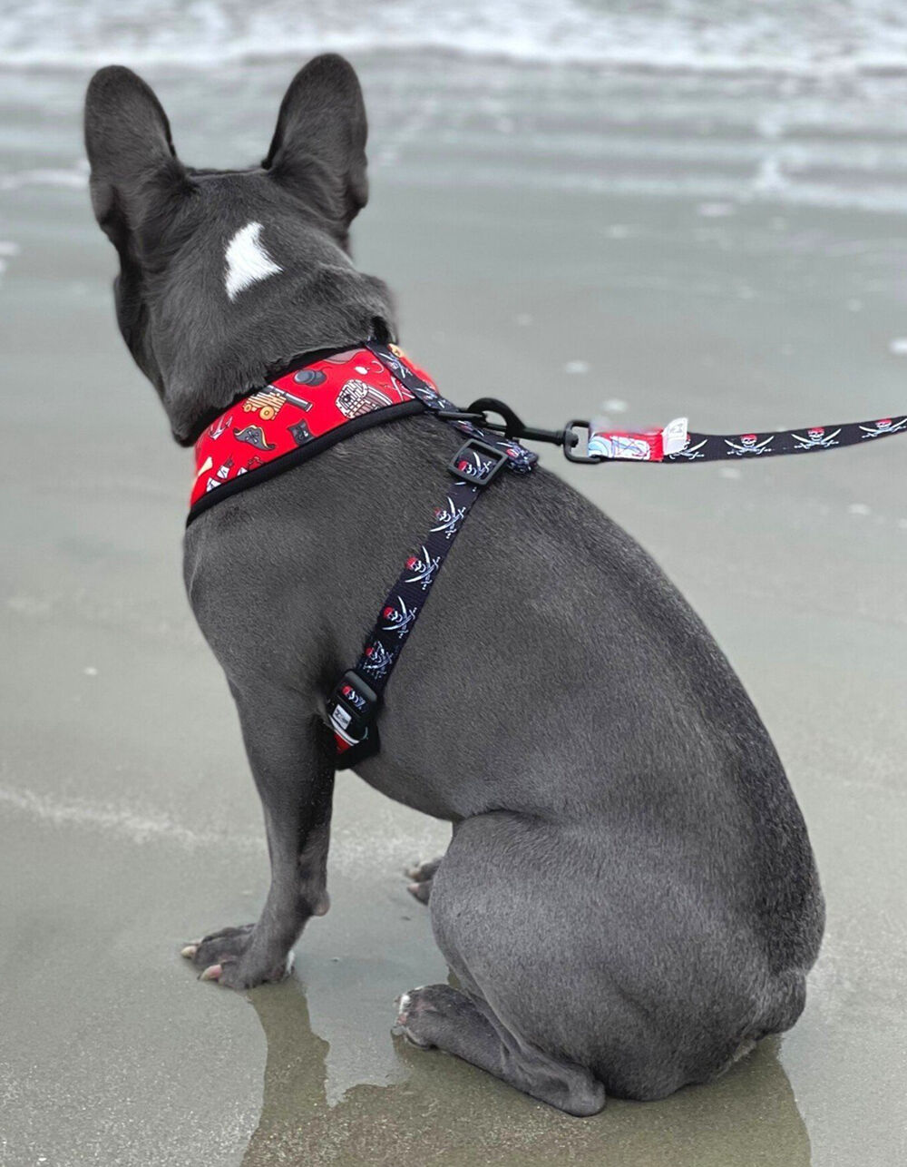 Beast and Buckle Shibori Tie Dye Reversible Dog Harness S