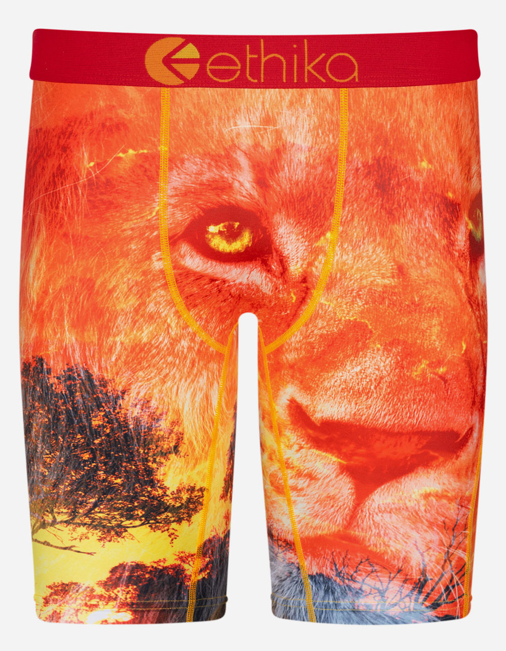 ETHIKA Bands On Bands Staple Mens Boxer Briefs