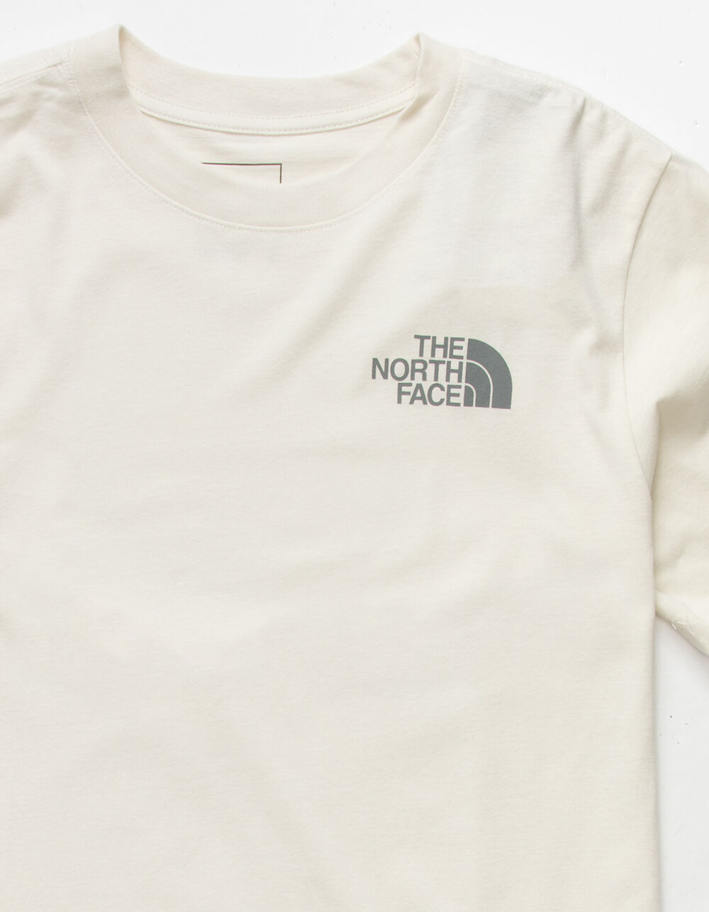 THE NORTH FACE NSE Box Mens T-Shirt - OFF WHITE | Tillys