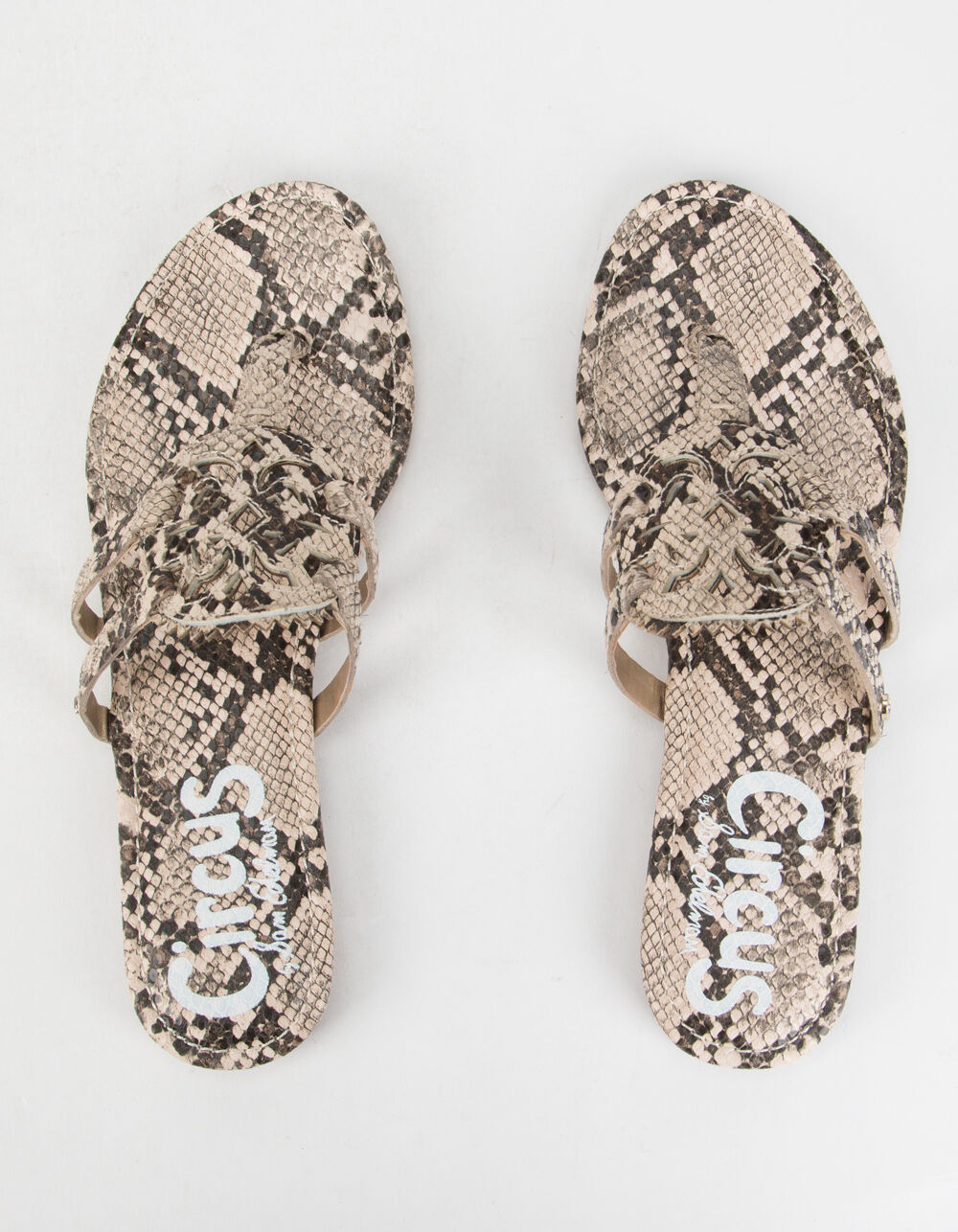 CIRCUS BY SAM EDELMAN Canyon Womens Snake Sandals - SNAKE | Tillys
